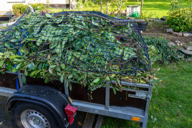 Best Hoarding Cleanup  in Maysville, KY